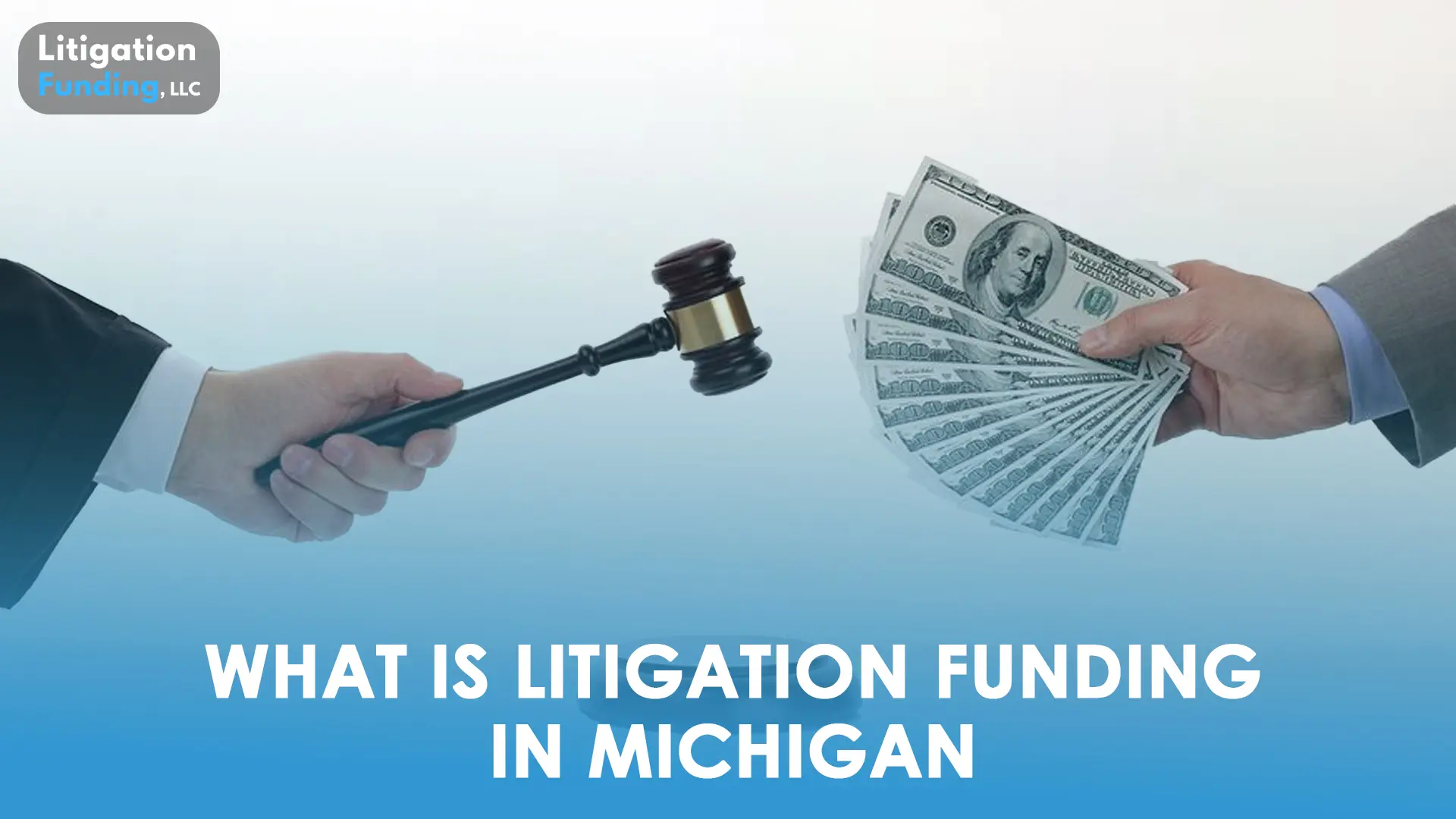 what is litigation funding in Michigan
